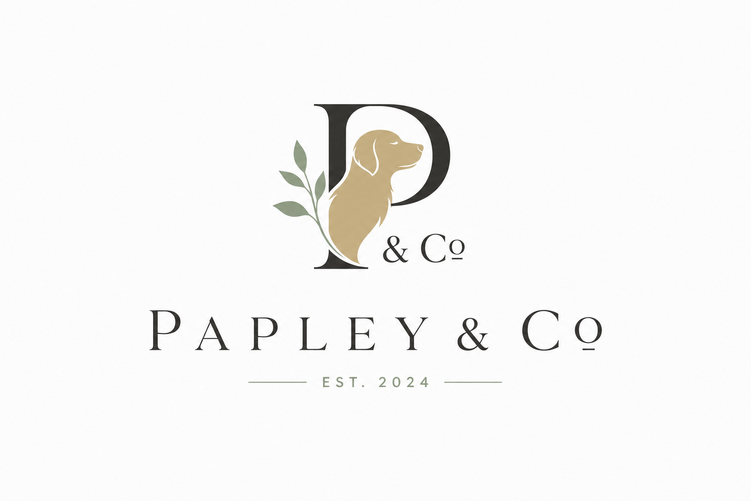 Papley Co Logo Concept